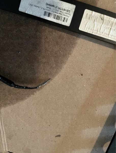 496705108_122176933238340940_8089695062246511744_n