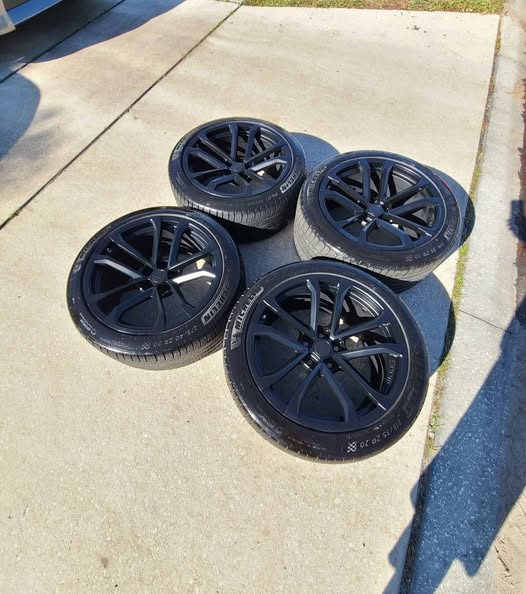 500375134_122098977782890372_4321683489826667303_n