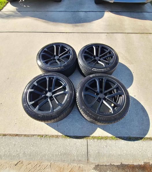 501352477_122098977746890372_3224230853411420069_n