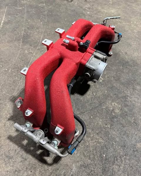 503556243_122176825298340940_7916688852994203103_n