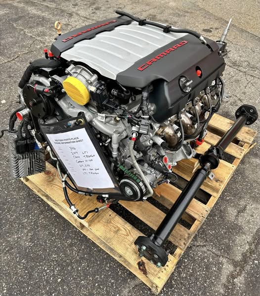 505406891_122109028418890372_4606867142491993823_n