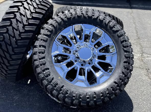 509582508_122122587104839232_3162480580074148296_n