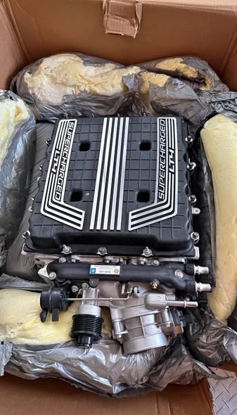 518345473_122120385428890372_6811167665767984635_n