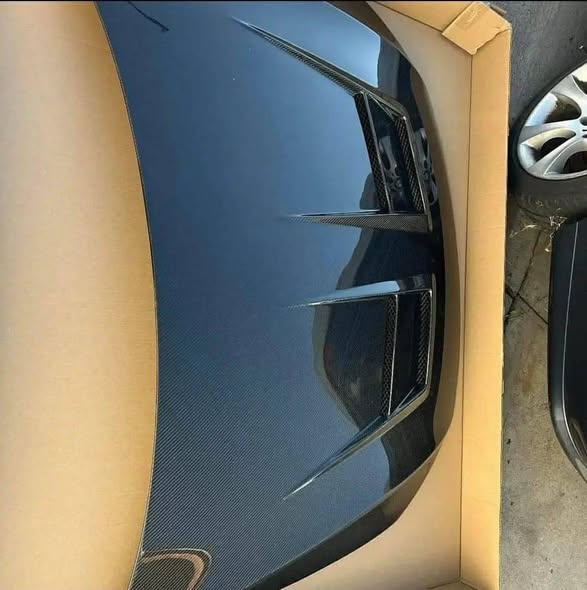 524186593_122129530634839110_3810320021044962719_n