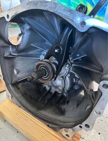 537163742_122189300186340940_4266484329958662579_n