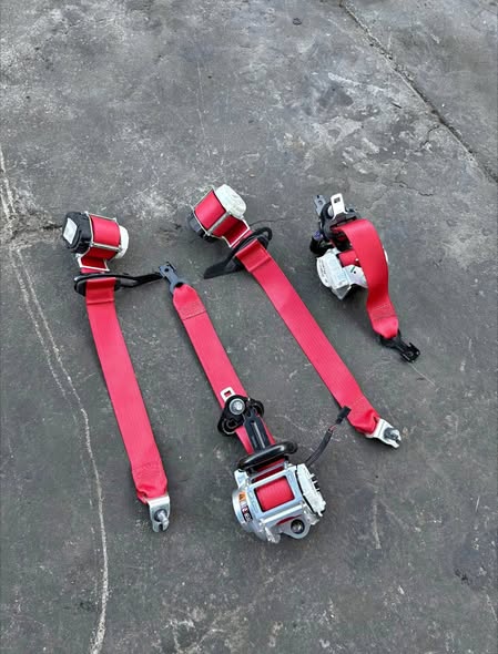 539830207_122130269624890372_8171047397929705458_n