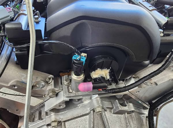 547171499_122133352046890372_473959794760759038_n