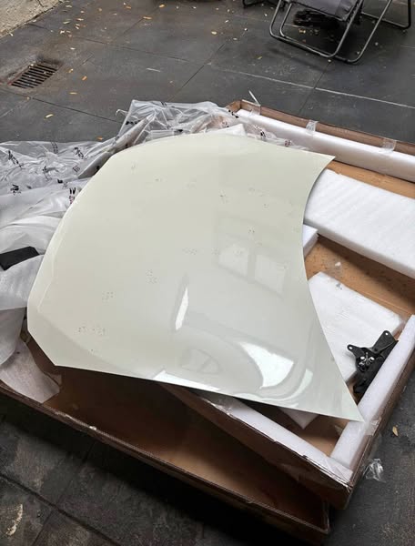 556813682_122194992482340940_233122752577652071_n