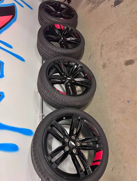 569626407_122140634840890372_8685624997208320795_n